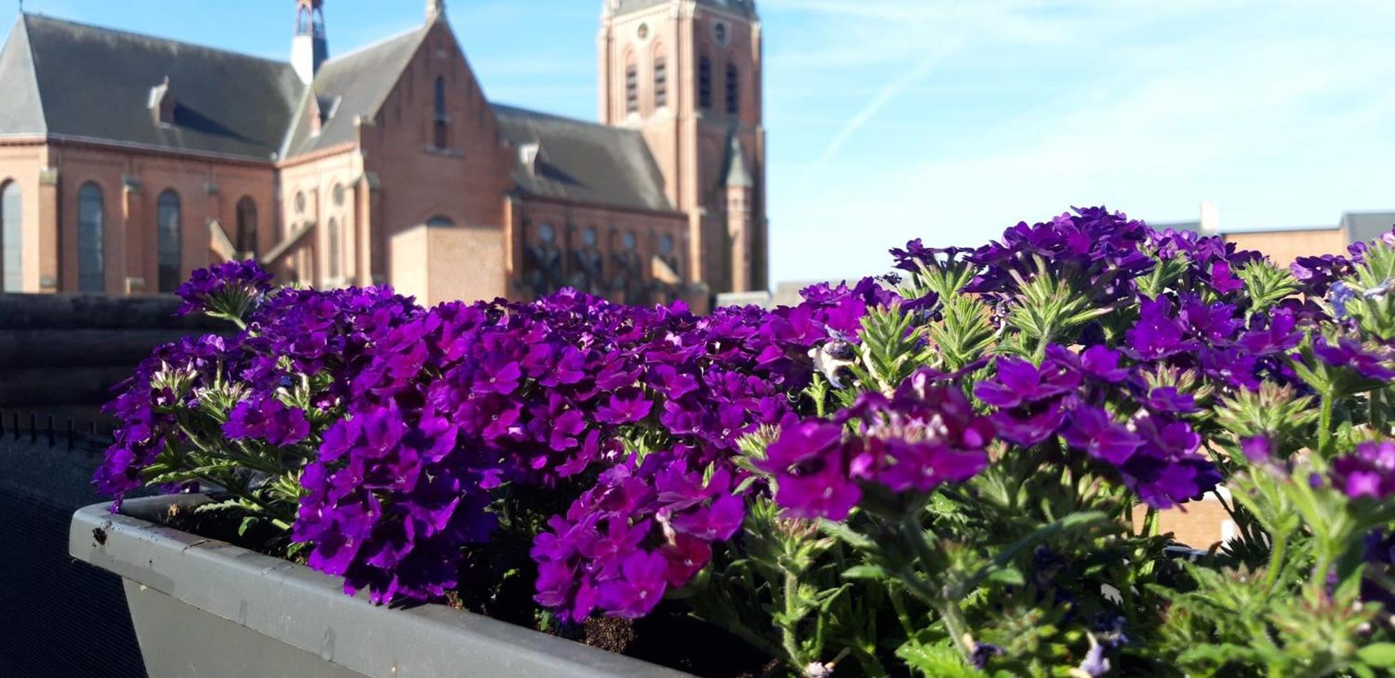 B&B Bon-Bon 'Nuit' Turnhout Bagian luar foto